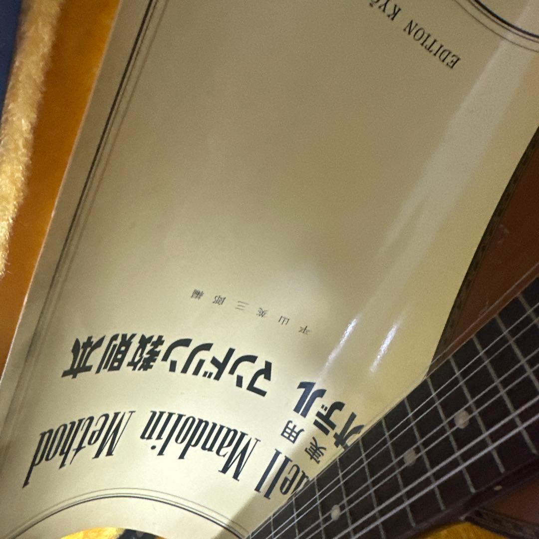 【ハードケース付き】スズキ SUZUKI マンドリM-215