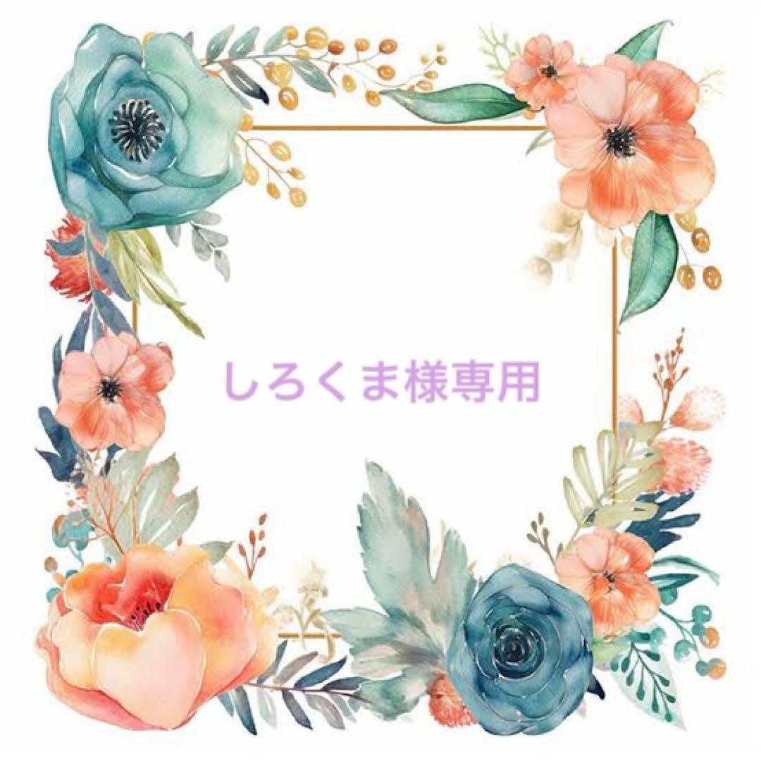 しろくま　バインダーカバー