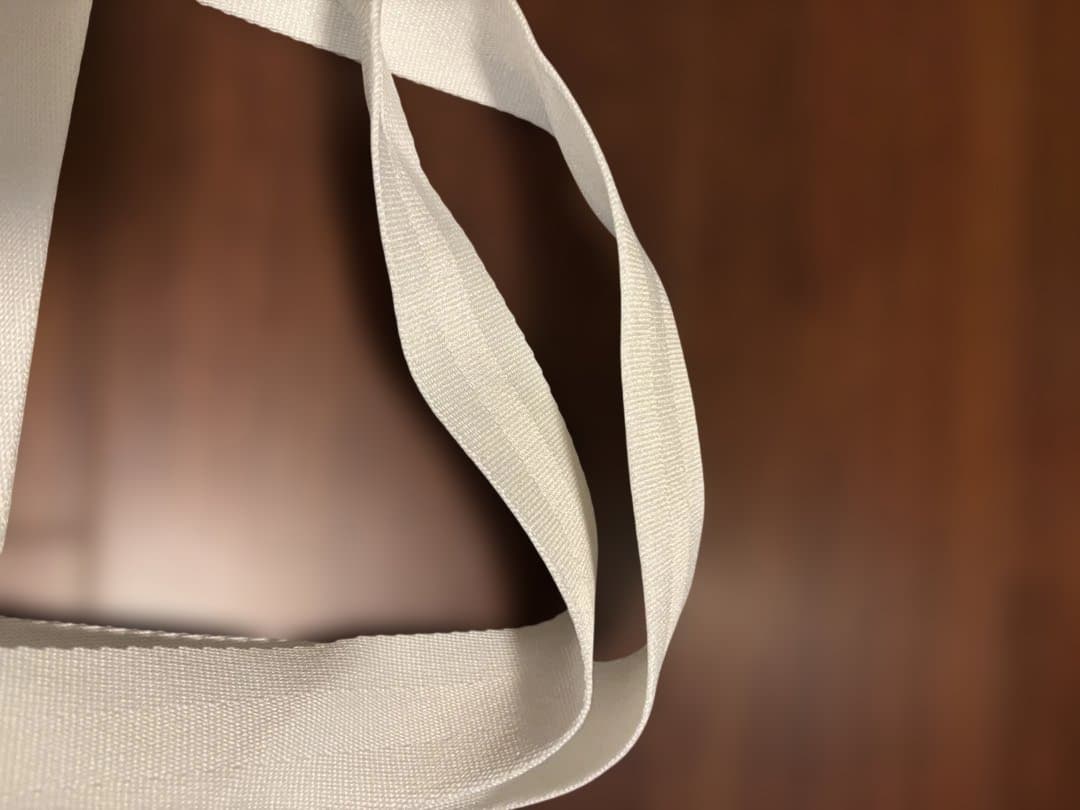 【ひとりっぷ(R)×LeSportsac】EASY EDITOR'S TOTE2