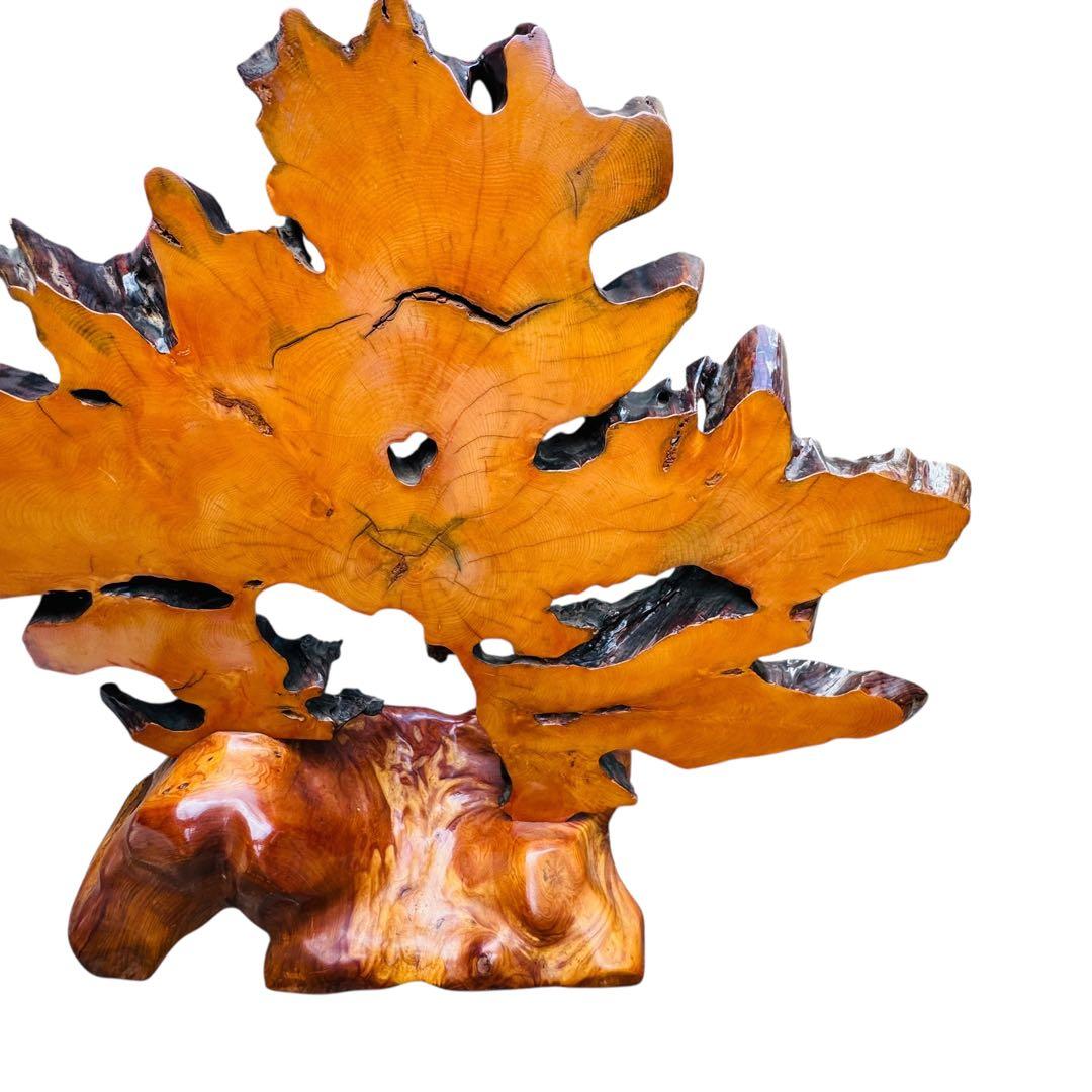 天然木＊一枚板＊衝立＊間仕切り