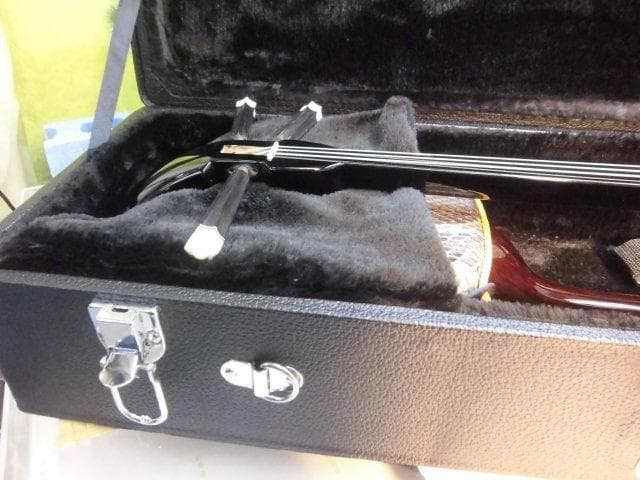 新品未使用(送料無料)11.980円　沖縄三線専用　二丁入ふかふかハードケース