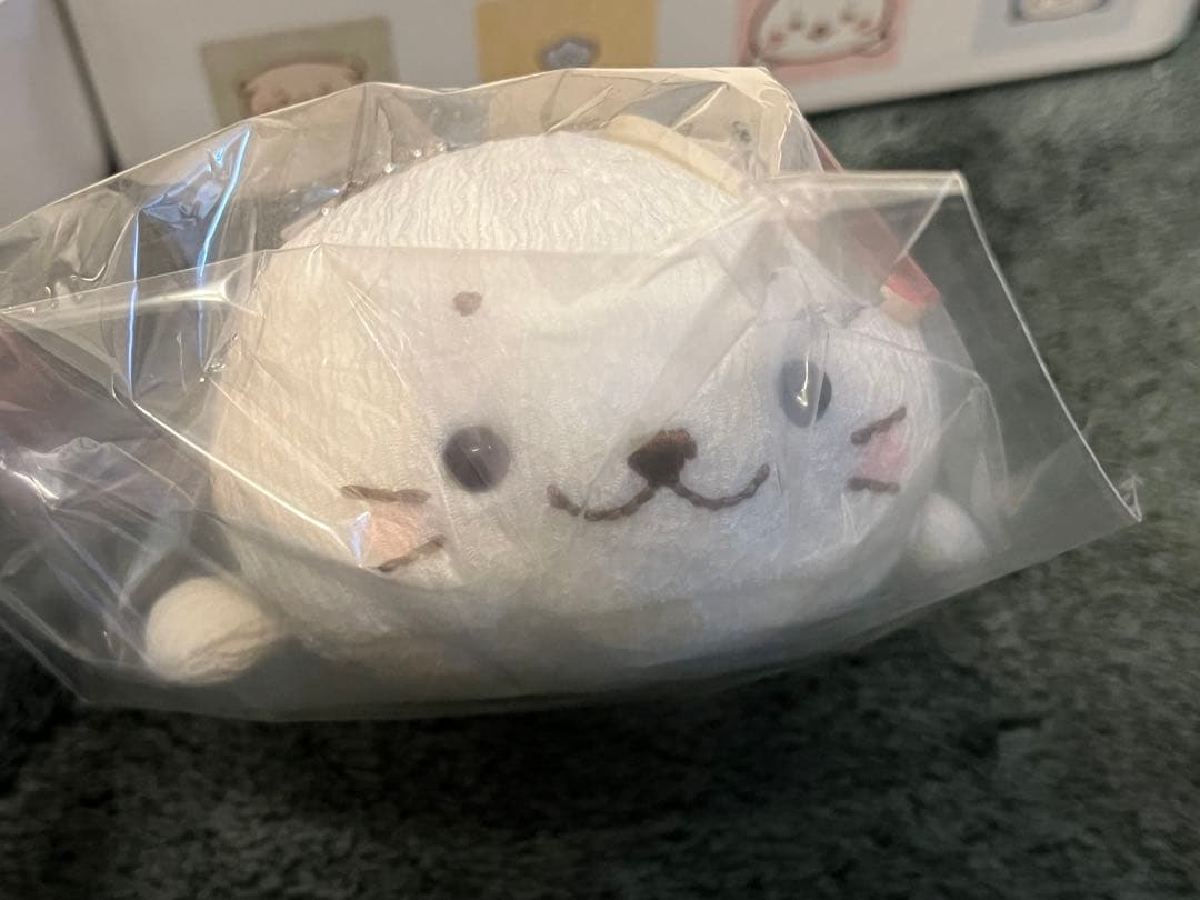 匿名配送　しろたんおせち2025 重箱／有田焼取り皿／しろたんちりめんマスコット