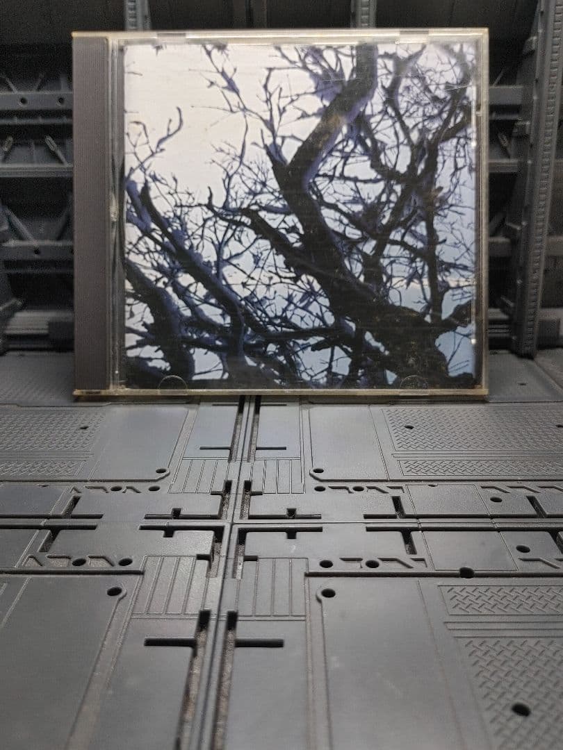 the choir of vengeance ブラックメタルblackl