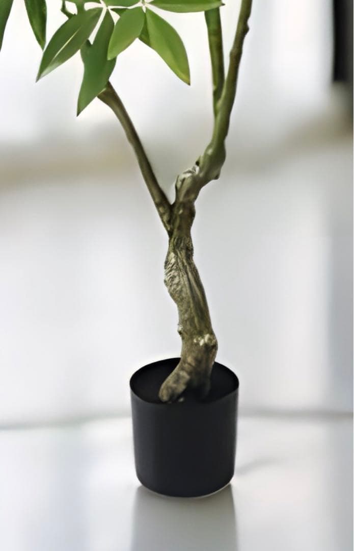 光触媒　人工観葉植物　ウォールグリーン　フェイクグリーン　パキラツリー210