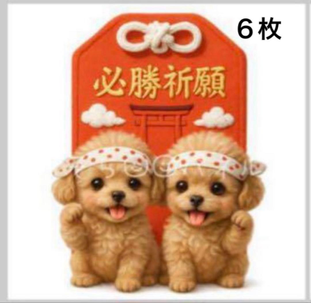 εïз の〜んびり限定品❗️超レアパネル合格祈願ポメラニアンお守り片面11枚