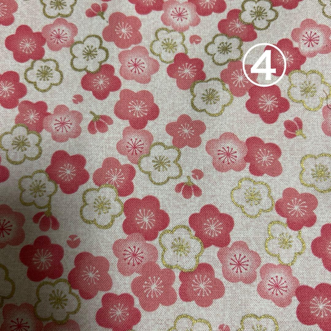 εïз の〜んびり限定品❗️超レアパネル合格祈願ポメラニアンお守り片面11枚