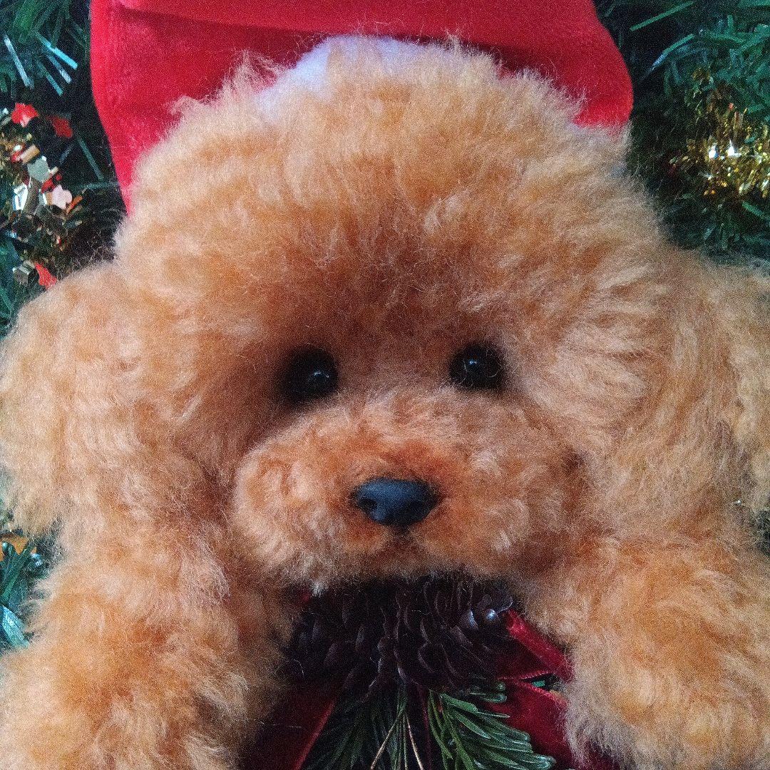 羊毛フェルト　トイプードル　クリスマスリース