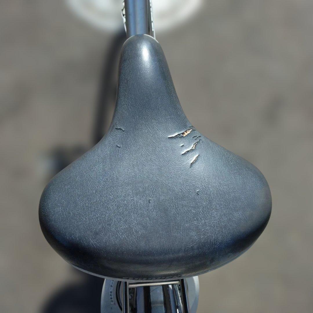 [791]送料無料 ブリヂストン Assista アシスタリチウムDX電動自転車