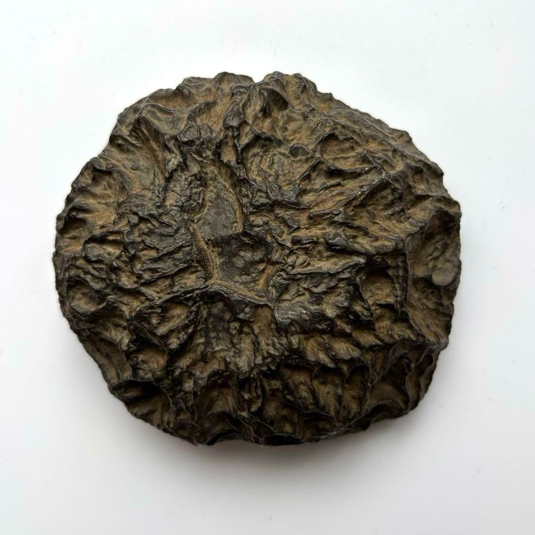 天然石　メロン馬蹄石　隕石　テクタイト　523g