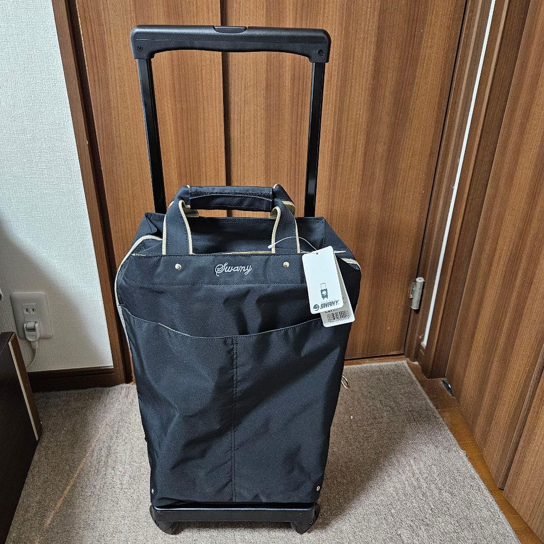 SWANY スワニー D-309プレーネⅡ 座面付 19L ブラック