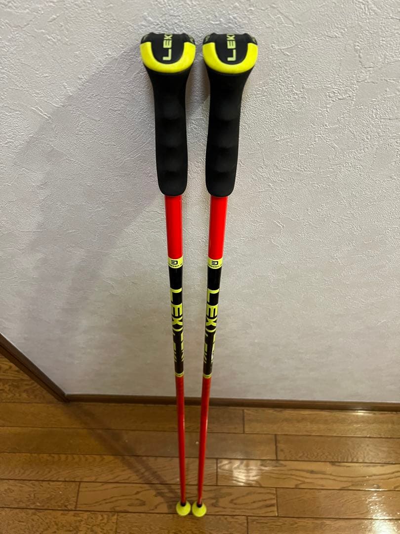 スキー LEKI WCR TBS GS 3D 120cm