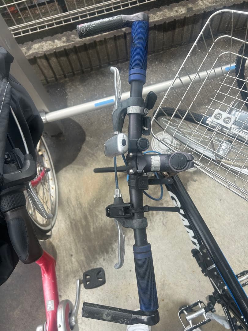 GIANT IDIOM　ミニベロ 自転車 本体 黒・青