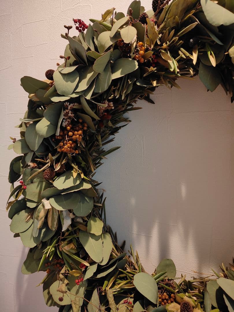 特大リース 50cm オリーブ ポポラス ドライフラワー 木の実 リース