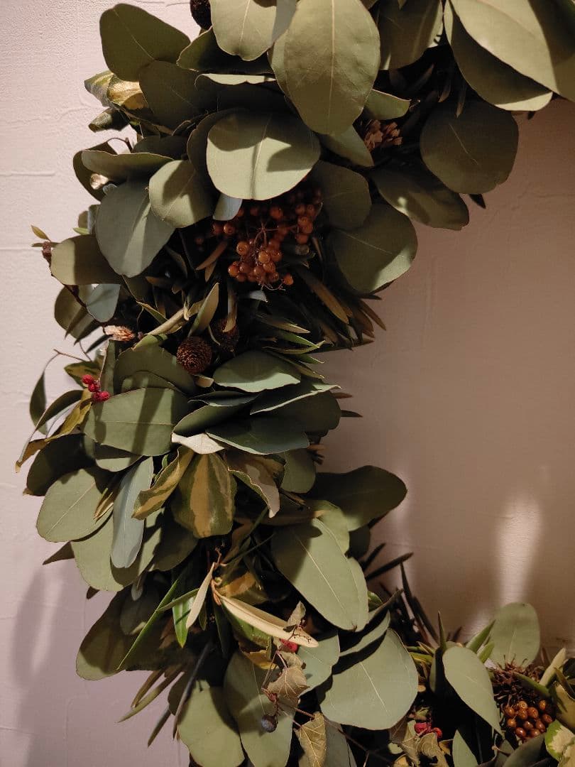 特大リース 50cm オリーブ ポポラス ドライフラワー 木の実 リース
