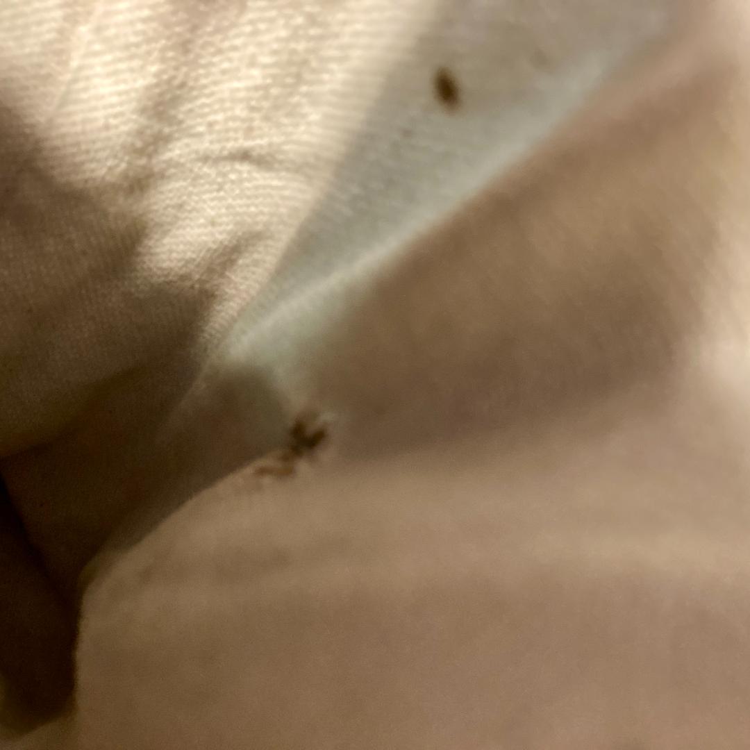 ジョーマッコイ 豊岡鞄のコラボレザートートバッグ　レザークリーニング済