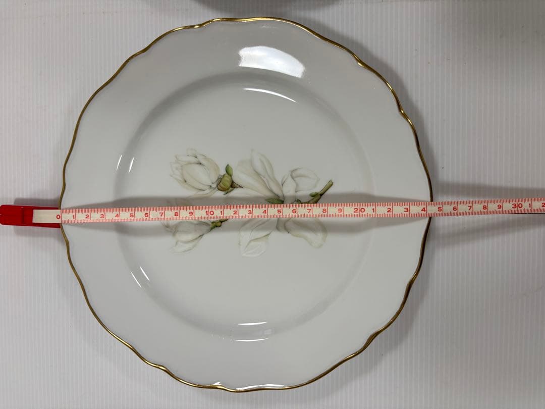 Noritake Grand Vert 、HUTSCHENREUTHER 4皿