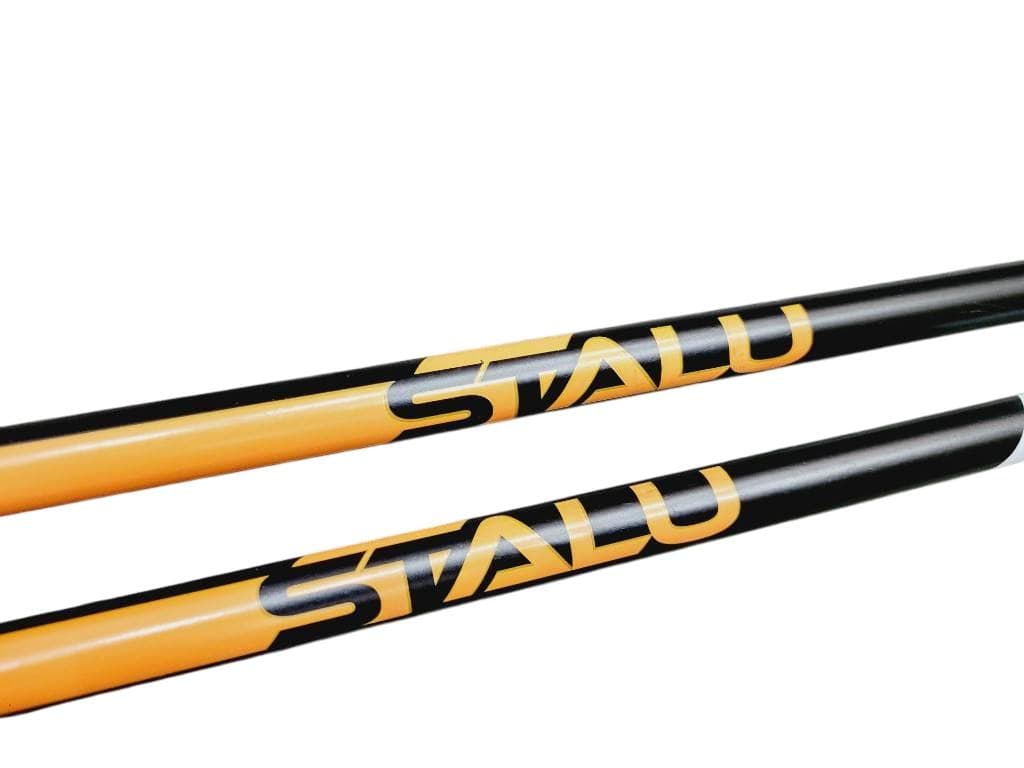 アルマダ アルデンテ スキー板 スキー フリーライド スキー用具 ストック