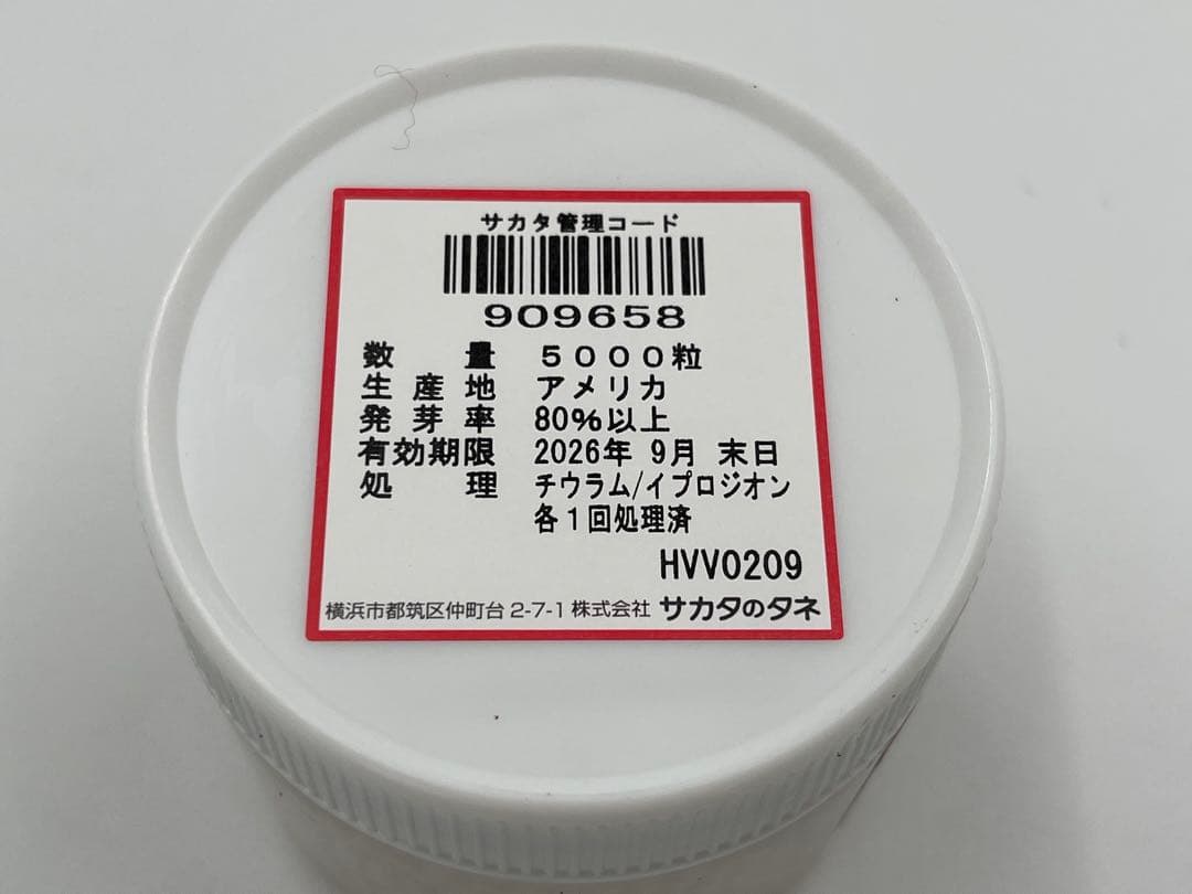 【希少】大人気！ブロッコリー種子 （SK9-099 )5000粒