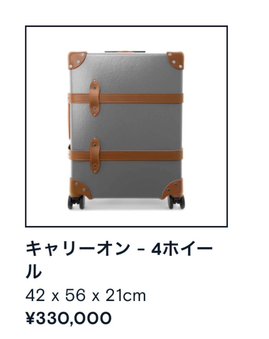 美品　GLOBE TROTTER センテナリーキャリーオンサイズ