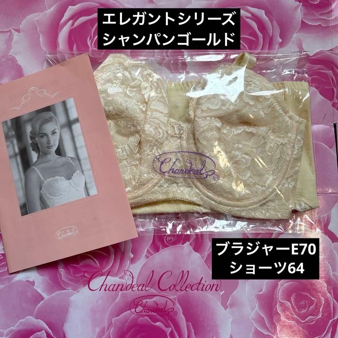 補正下着　シャンデール エレガント　ブラジャー&ショーツセットE70 ショーツM