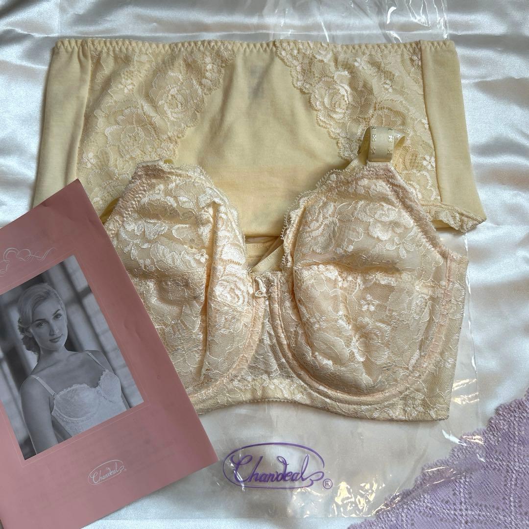 補正下着　シャンデール エレガント　ブラジャー&ショーツセットE70 ショーツM