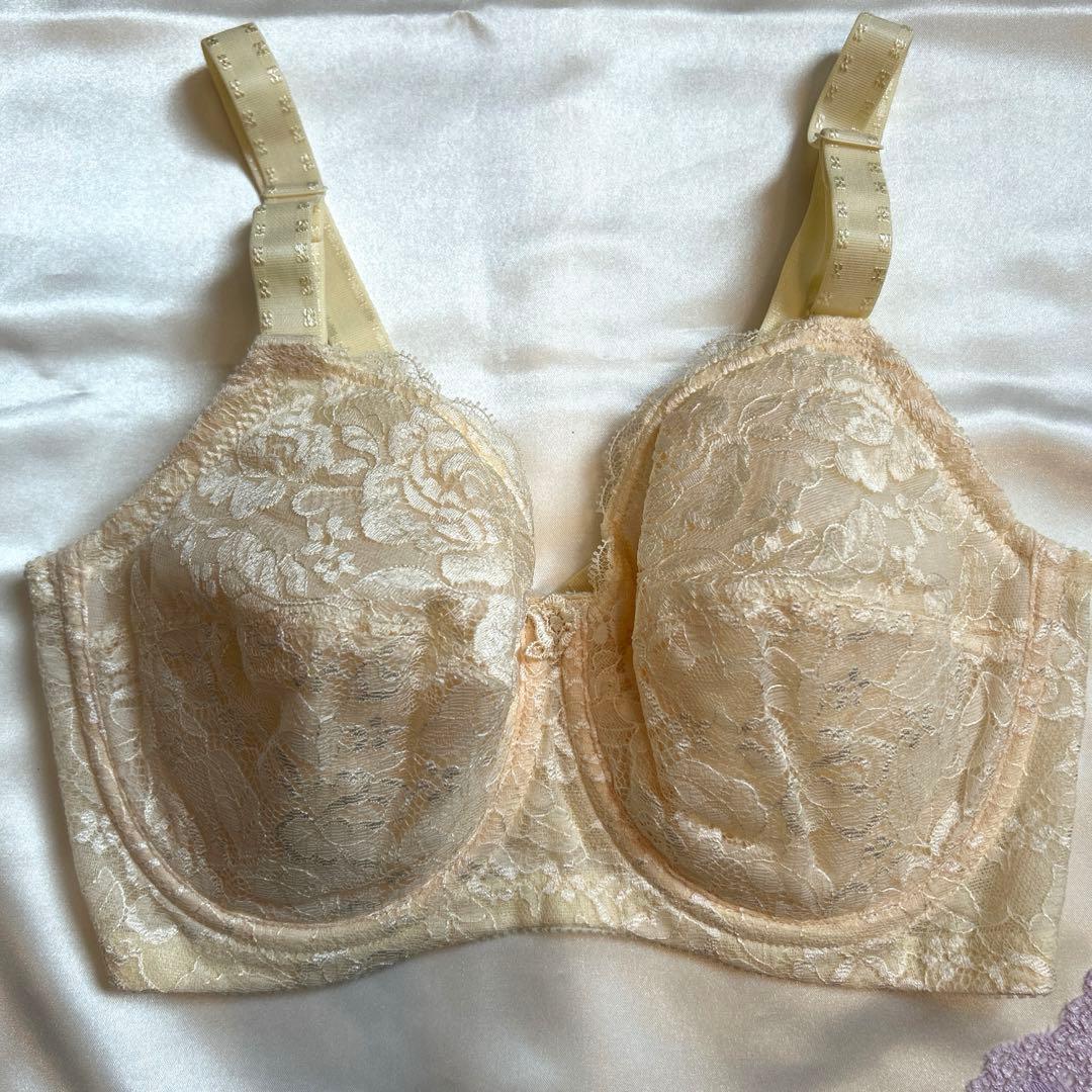 補正下着　シャンデール エレガント　ブラジャー&ショーツセットE70 ショーツM