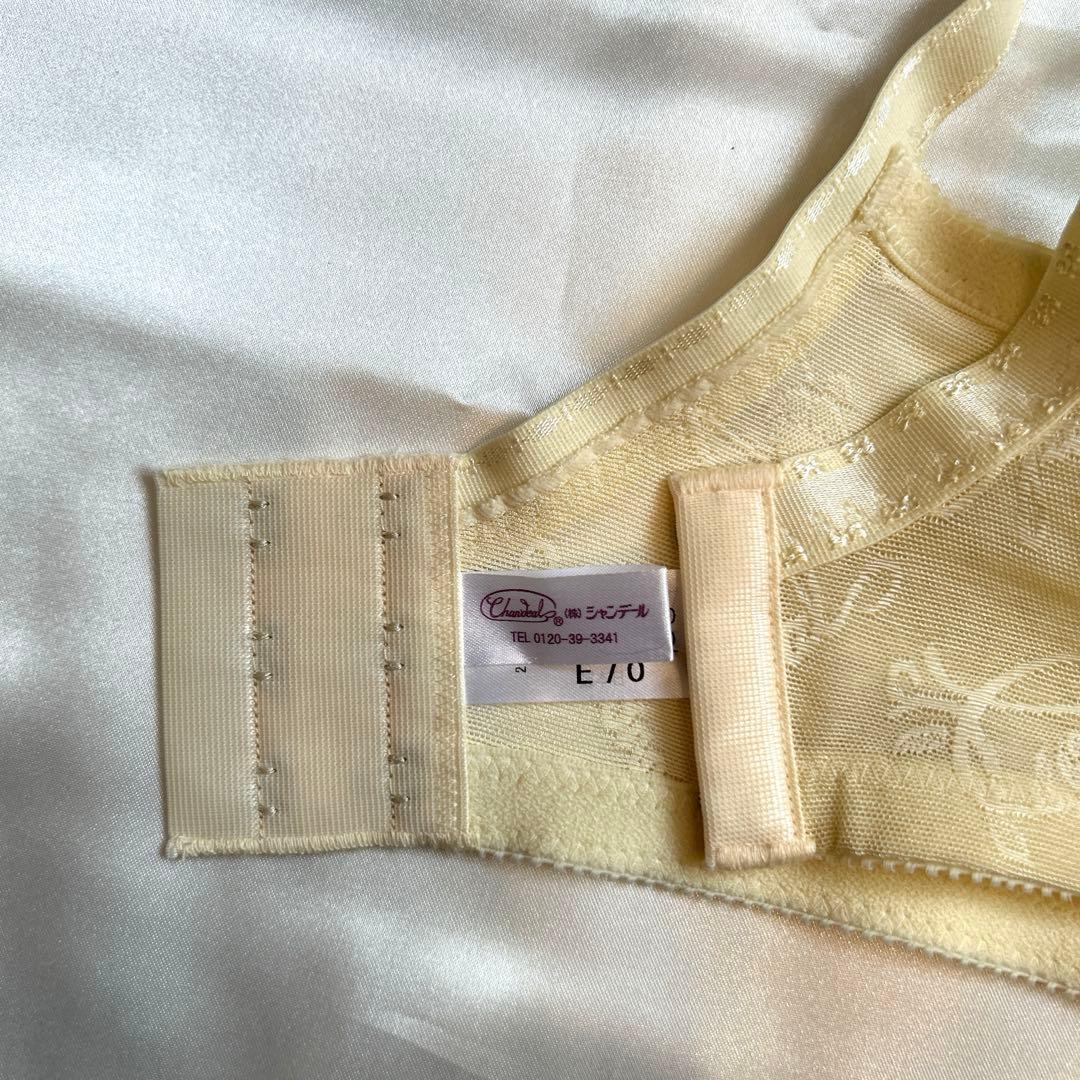 補正下着　シャンデール エレガント　ブラジャー&ショーツセットE70 ショーツM