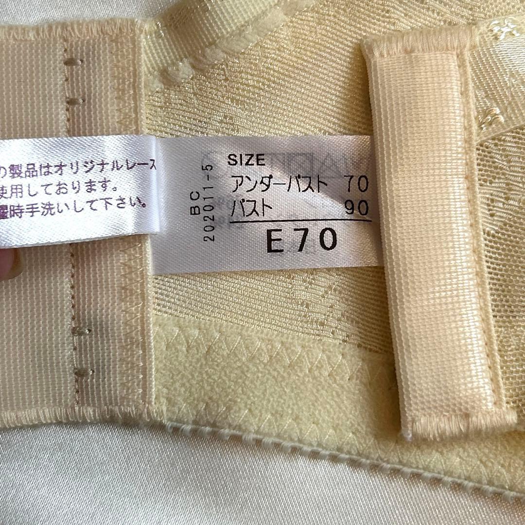 補正下着　シャンデール エレガント　ブラジャー&ショーツセットE70 ショーツM