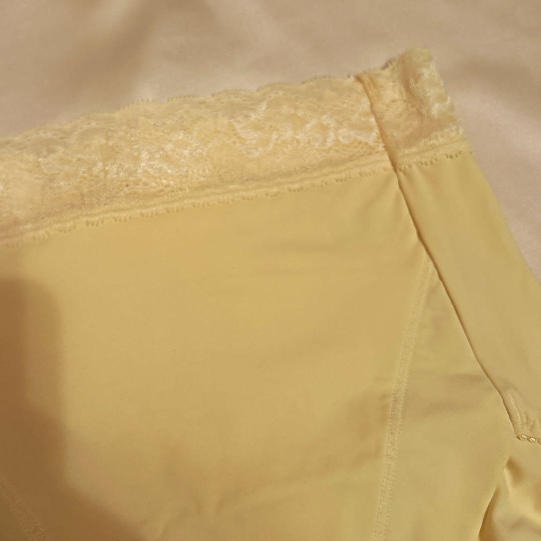 補正下着　シャンデール エレガント　ブラジャー&ショーツセットE70 ショーツM