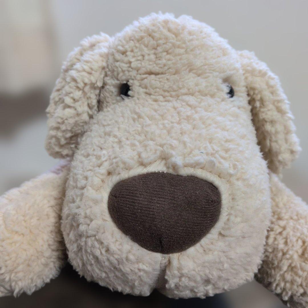 salut!　サリュ　おひるねワンコ　抱き枕　ぬいぐるみ