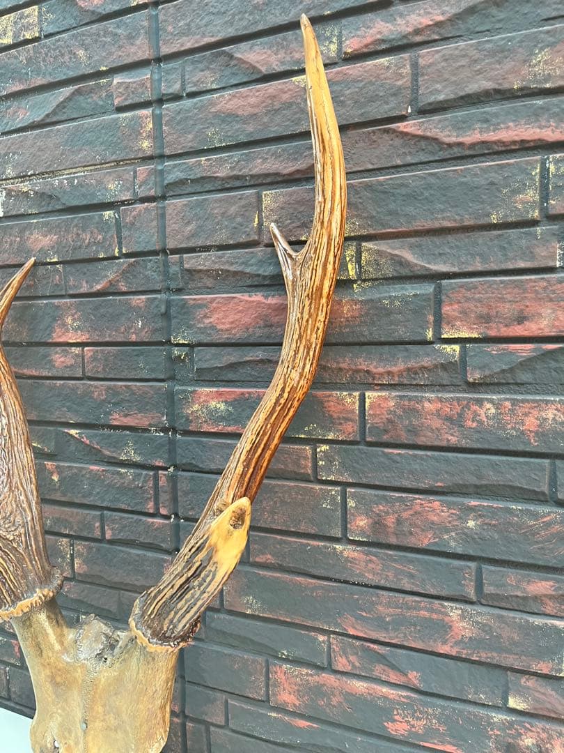 鹿の角 オブジェ インテリア