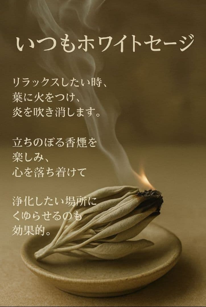 激安価格☆無農薬ホワイトセージ枝付きクラスター1kg箱入りお香浄化業務用価額