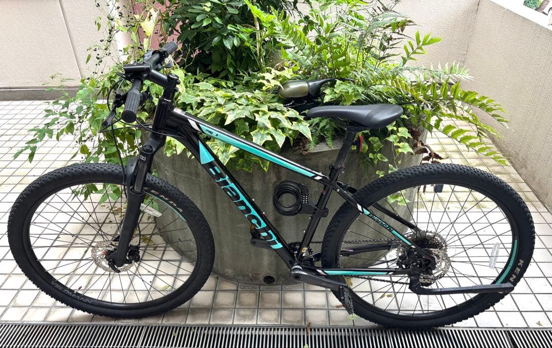 Bianchi magma 29.1(S43)LEDライトプレゼント