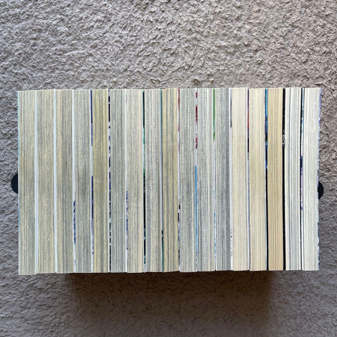 孤高の人 (殉教者) 1〜17巻　全巻セット　初版14冊