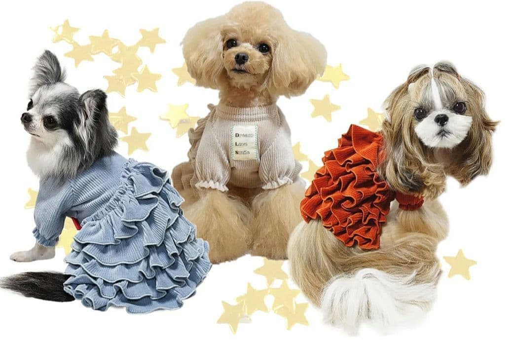 新品3色CORDUROY FRILLEDサーカスサーカスcircuscircus