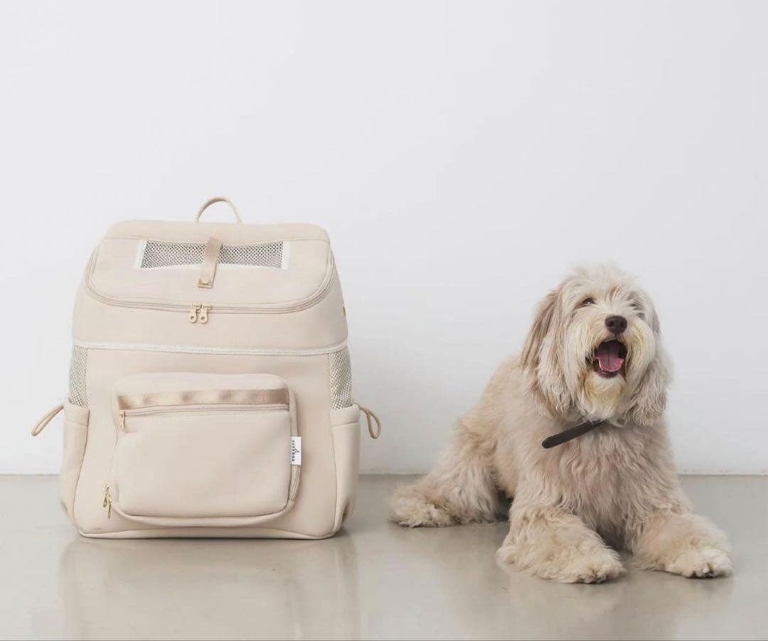 CITY DOG シティードッグ　citydogネオプレーンバックパックキャリー