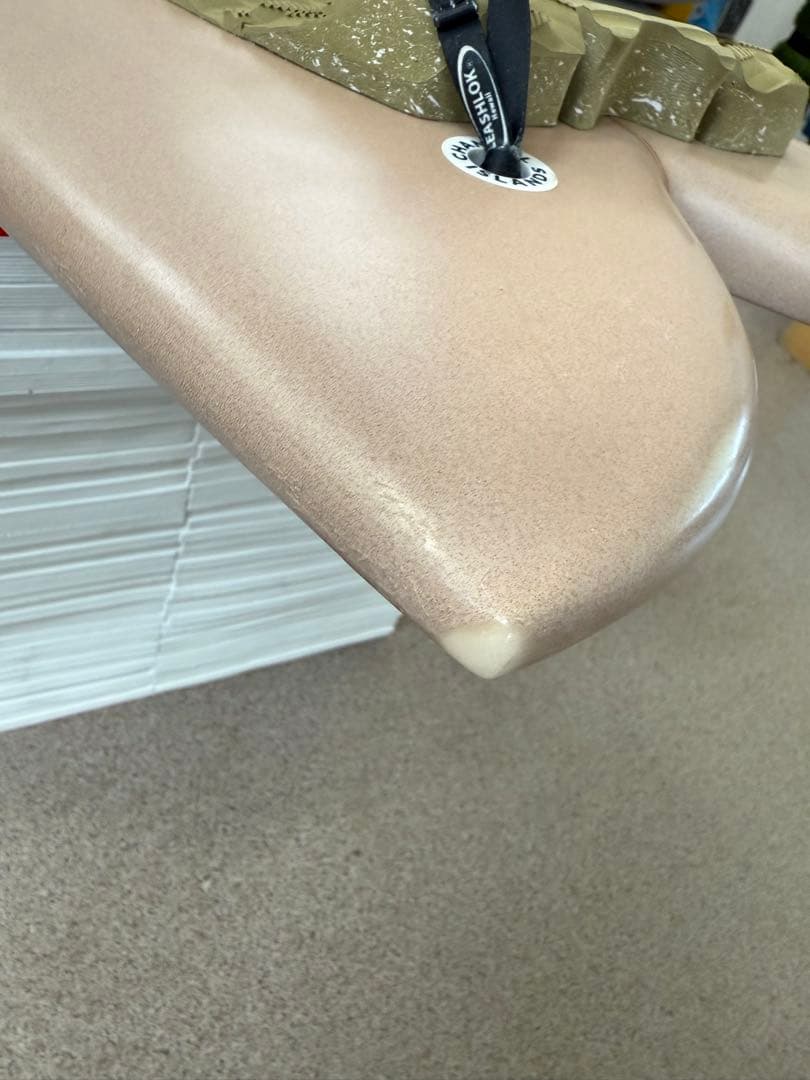 CHANNEL S CI FISH 西濃運輸営業所留め送料込