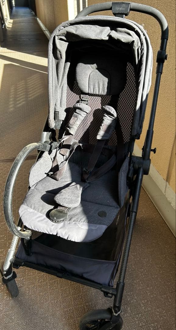 サイベックス　メリオ　カーボン　グレー