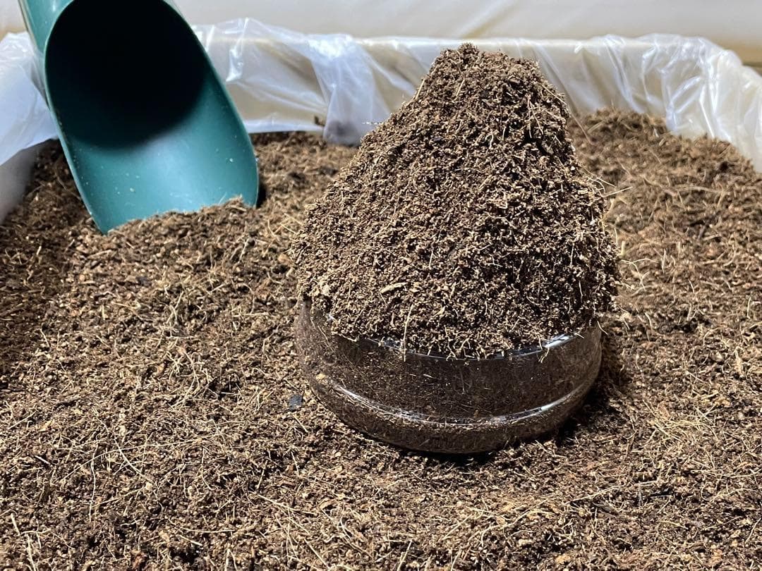 (セール価格８日まで)　約２００Ｌココピート