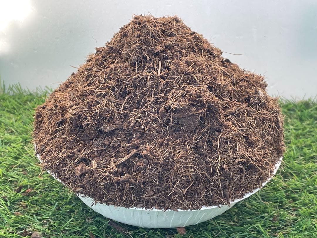 (セール価格８日まで)　約２００Ｌココピート