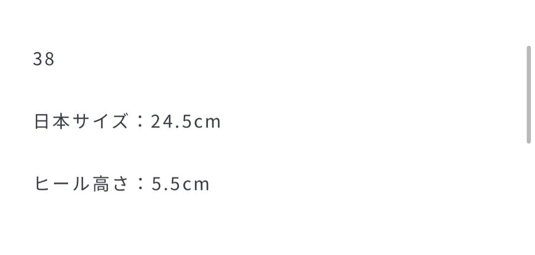 PRANK PROJECT ワイドストラップサンダル チュールグレー