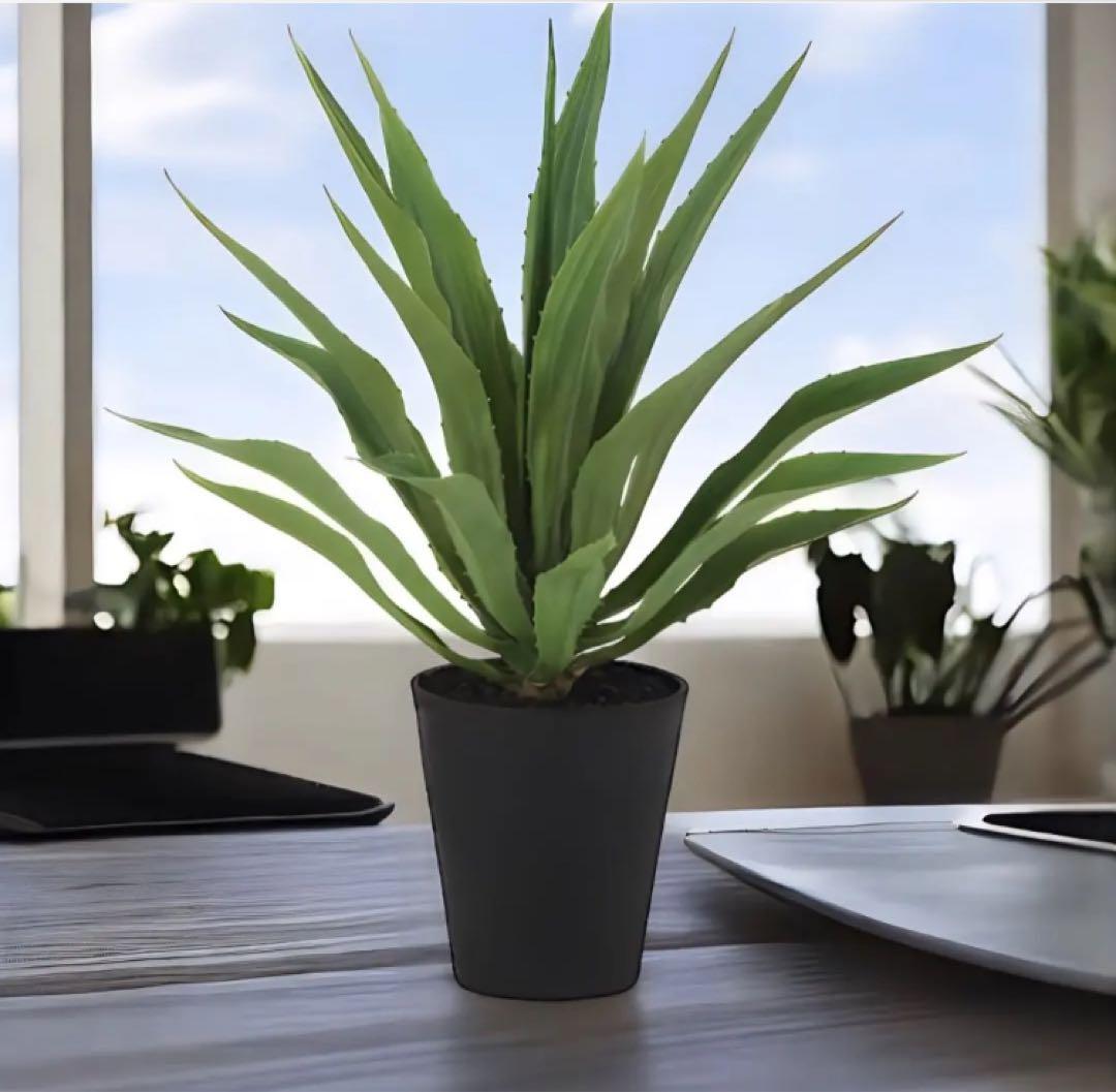 光触媒　人工観葉植物　ウォールグリーン　フェイクグリーン　アガベ・アメリカーナ