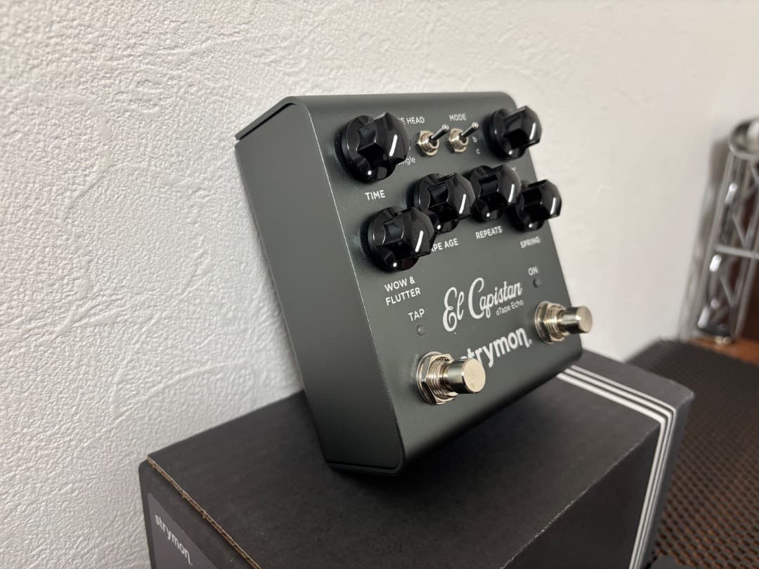 STRYMON El Capistan V2 2025年12月新品購入