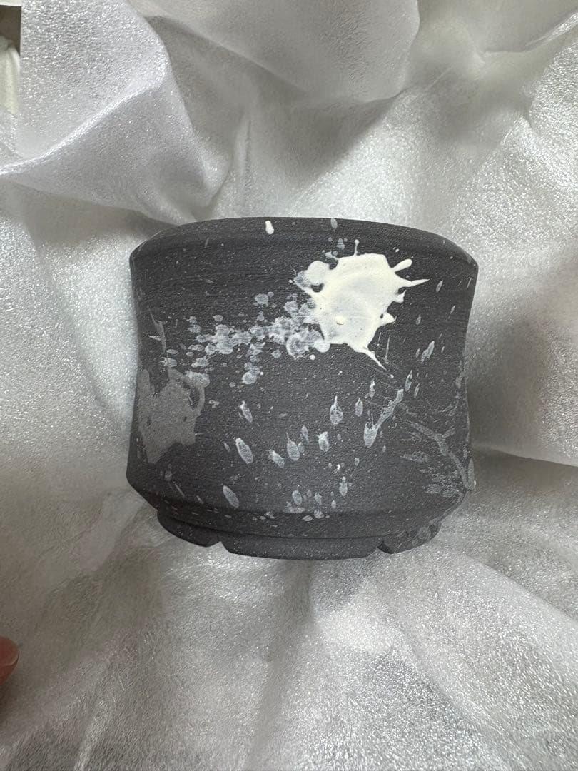 Willing plant ordinal pot W.P-004 Mix⑧