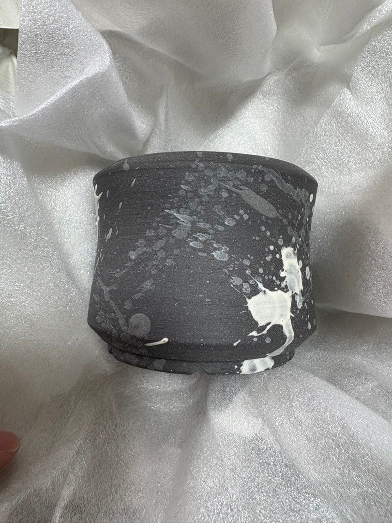 Willing plant ordinal pot W.P-004 Mix⑧