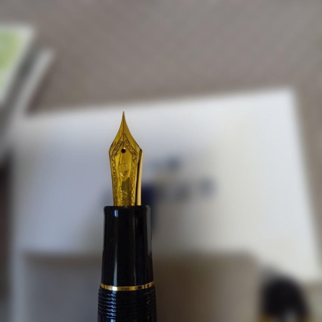 SAILOR 万年筆 黒 21金ペン先EF