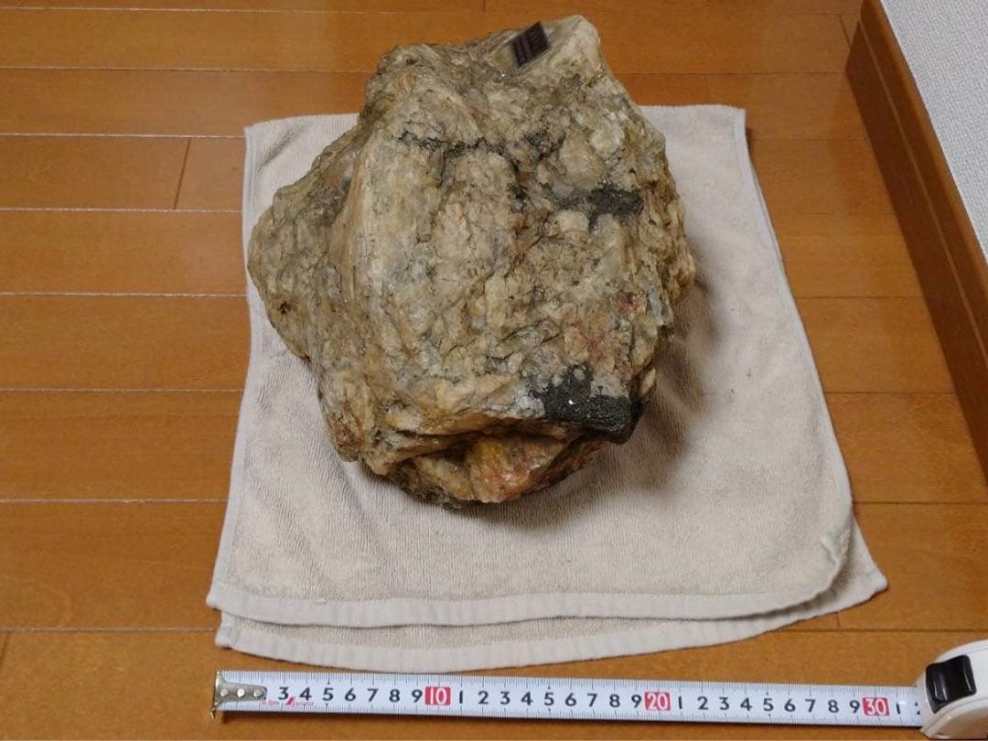 南極の石 第16次南極地域観測参加記念