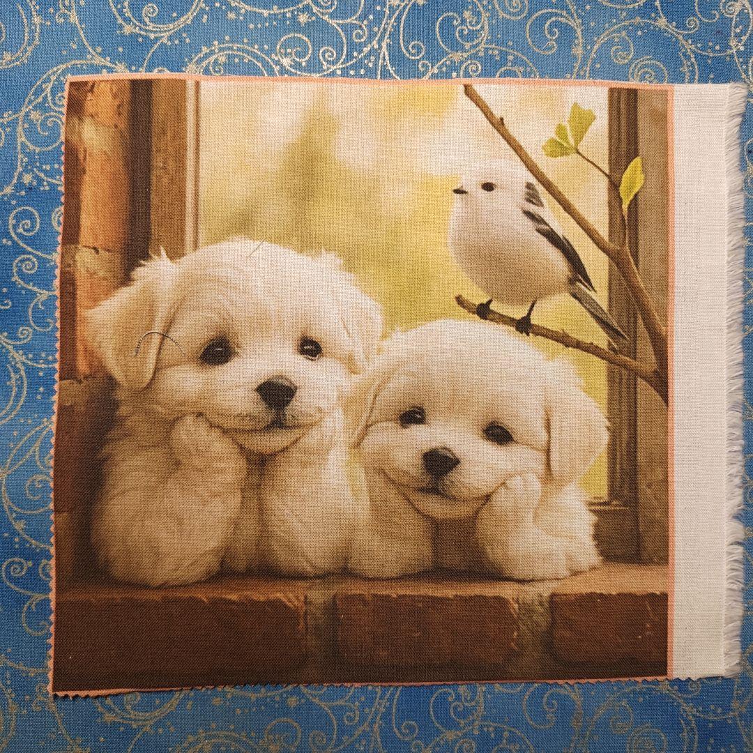 mafuyu　パネル　マルチーズちゃん柄19枚+19枚+12枚＝50枚