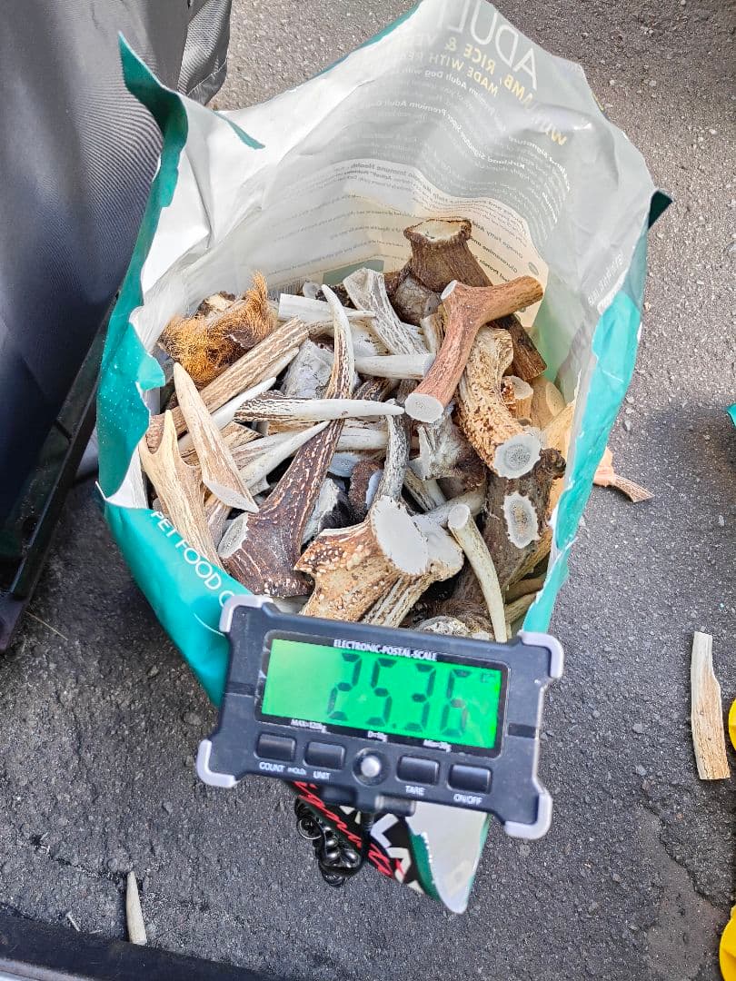 鹿の角 ハンドメイド素材 約25kg 不規則形状