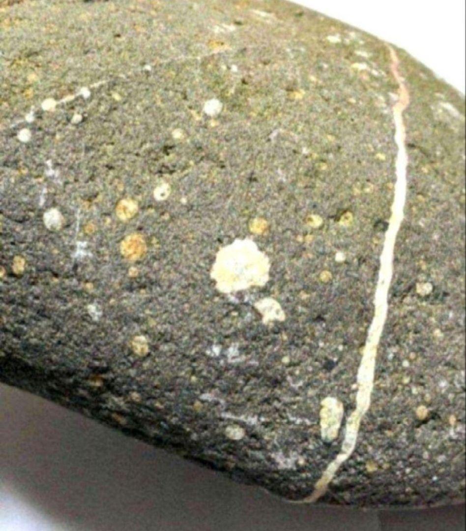 青森県産 外ヶ浜町産 舎利母石 原石 水石 置き石 観賞石 奇石 約3.5kg